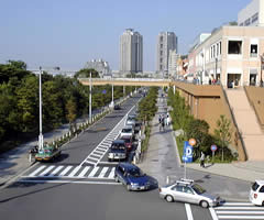 �����C�l�����O�̓����꒼���ɁI