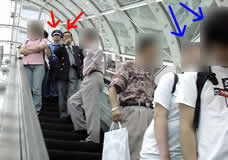 ���сu�F�̉�v�