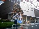 クリスマスツリー