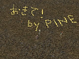 ������Υץ��о�ʥ���������ɲá�