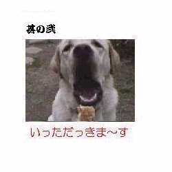 ƉƂȂ͂ƌőŌEEE